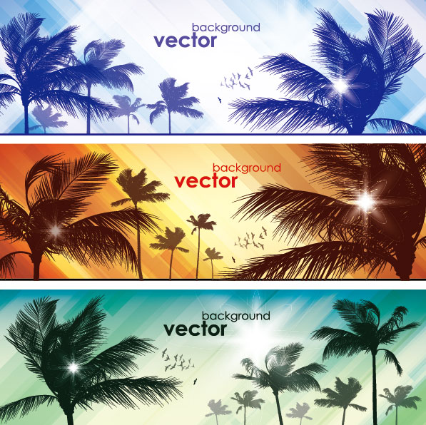 Coconut elements banner vector 02  