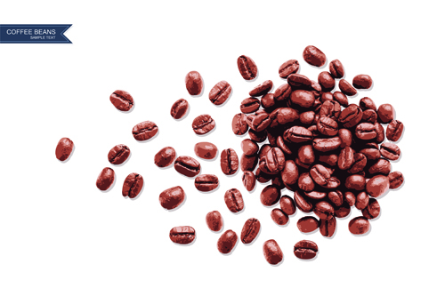 Coffee beans with white background vector 02  