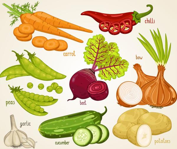 Légumes frais avec illustration vectorielle de nom 06  