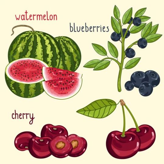 Fruit with name design vector 09  