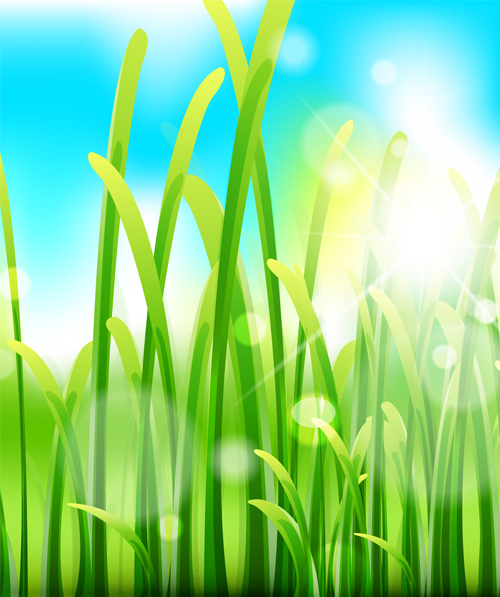 Grass with blue sky spring vectors 04  