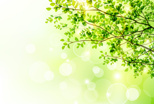 Spring sunlight with green leaves vector background 03  