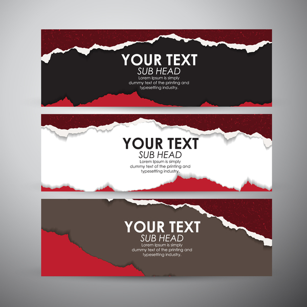 Torn paper banner set vector 06  