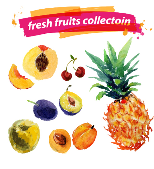 Watercolor fresh fruits set 05 vector  