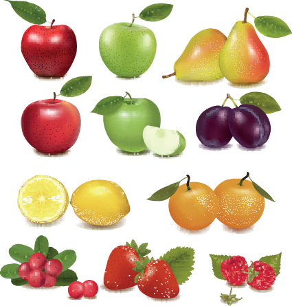 Various Fresh fruit design elements vector 05  