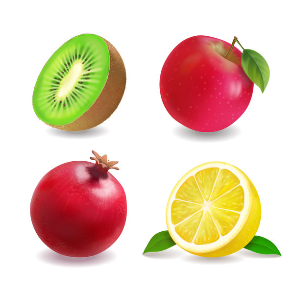4 types de fruits illustration vecteur  