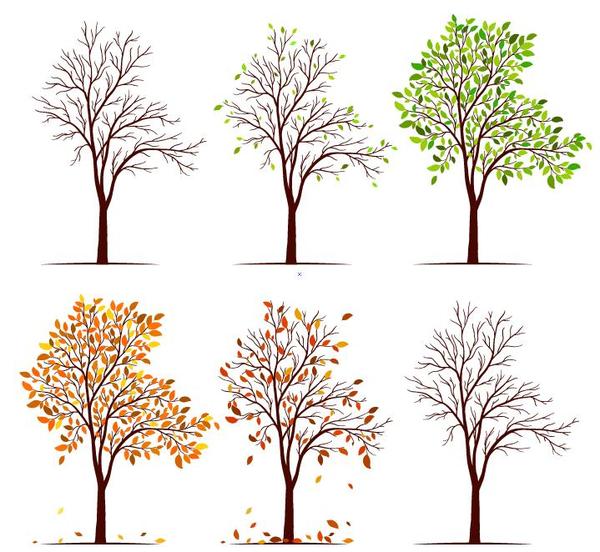 Set de vector illustration arbre abstrait 02  