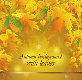Autumn background with leaves vector material  