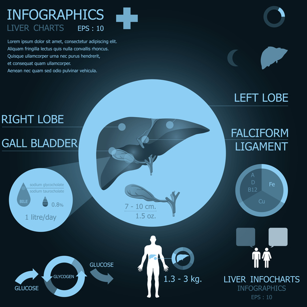Infographic Elemente Vektor der dunklen Farbe medizinischer Vektor 04  