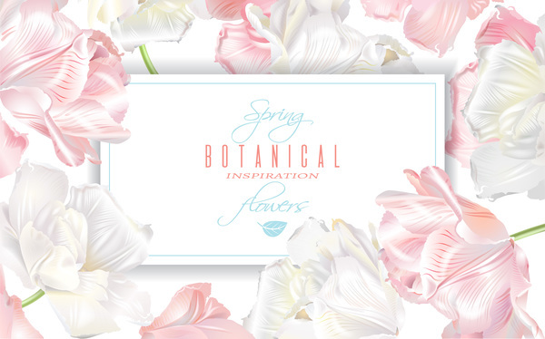 Elegant tulips with flower card vector 01  