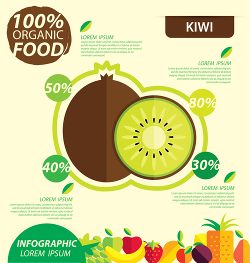 Flat fruits infographic vectors template 05  