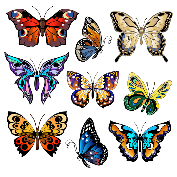 Papillons décoratifs floraux design vectoriel 04  