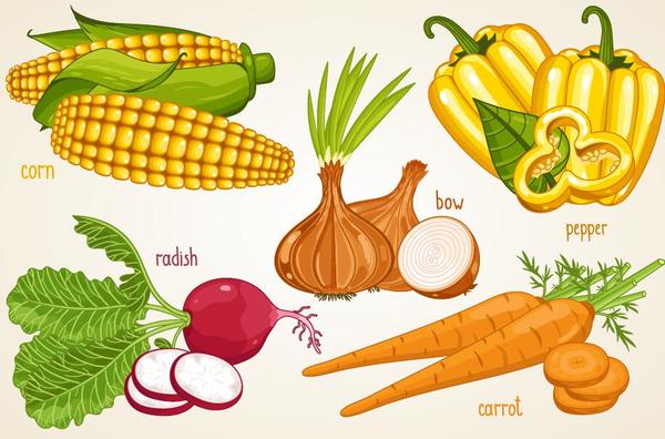 Légumes frais avec illustration vectorielle de nom 05  