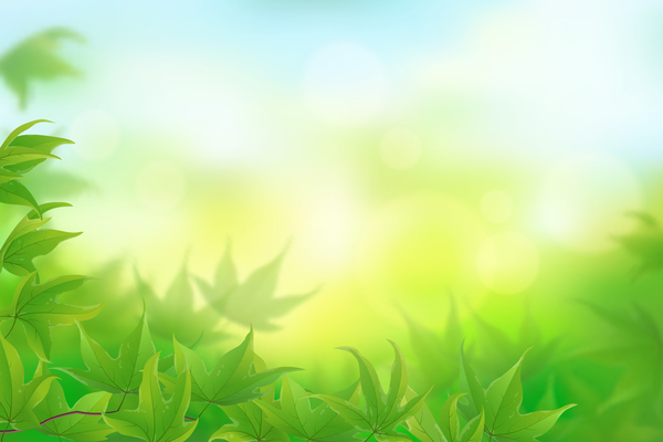 Green leaves with blurs background vectors  