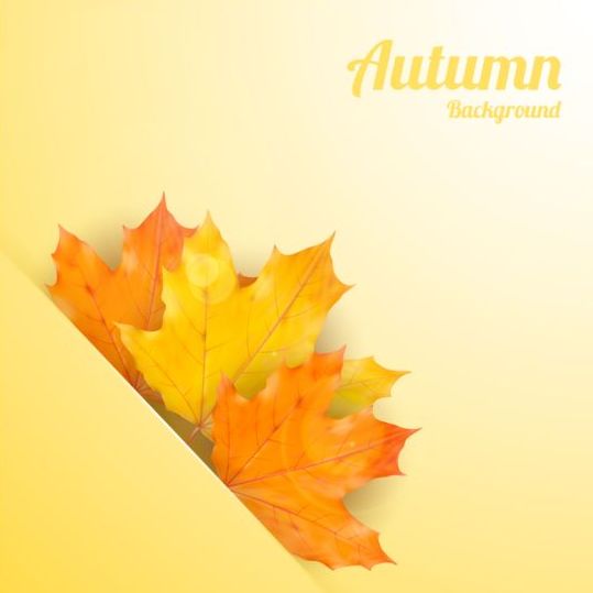 Maple bladeren met de herfst achtergrond vector 03  