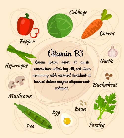 Vitamin with healthy diet vector material 03  