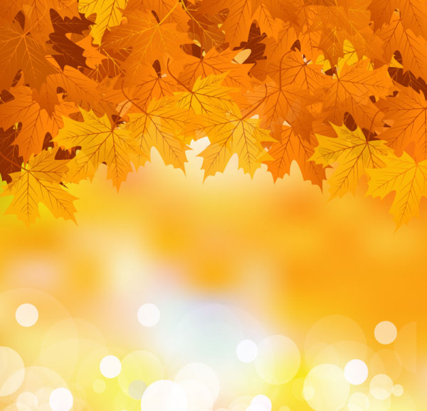 Fall of Maple Leaf elements background vector 06  