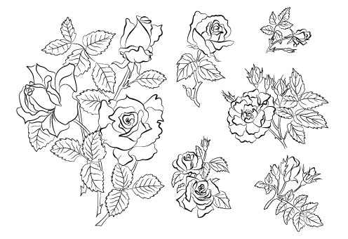 Hand draw Flower vector 03  