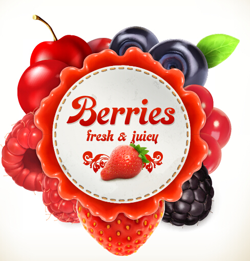 Berries label vector  