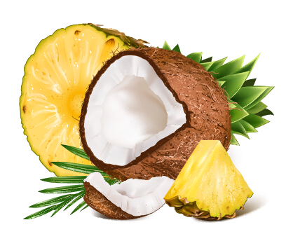 Copra and pineapple design vector  