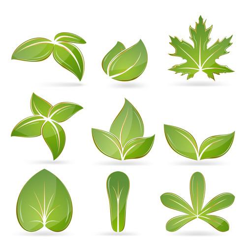 Different green leaves vector set 02  