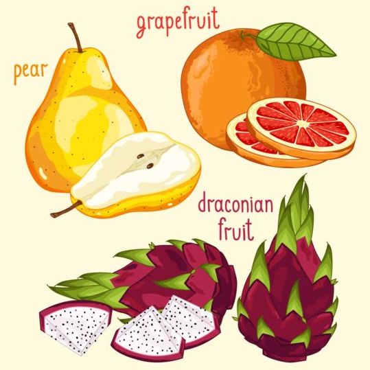 Fruit with name design vector 08  