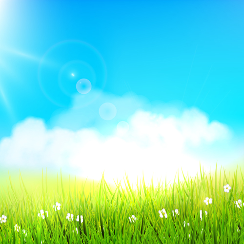 Grass with blue sky spring vectors 03  