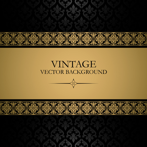 Lace with Vintage vector backgrounds 05  