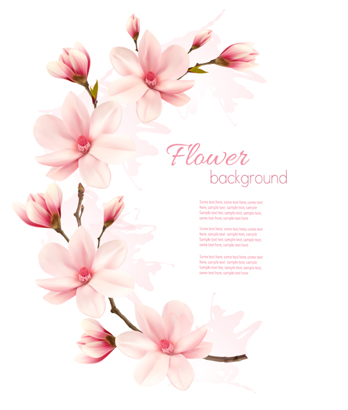 Pink magnolia flower vector background  