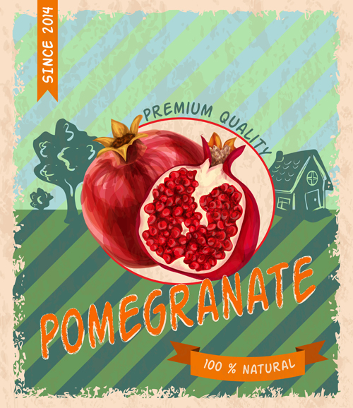 Retro fruit poster grunge style vector 07  