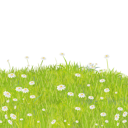 Summer Grass vector background 05  
